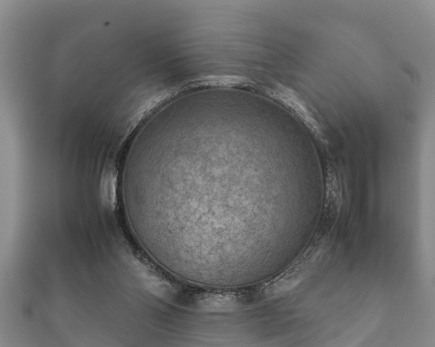 X0000112400110200908211124