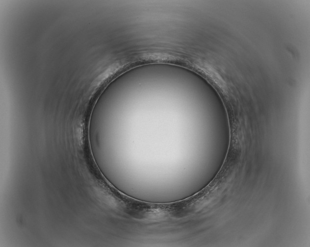 X0000112400111200908211124