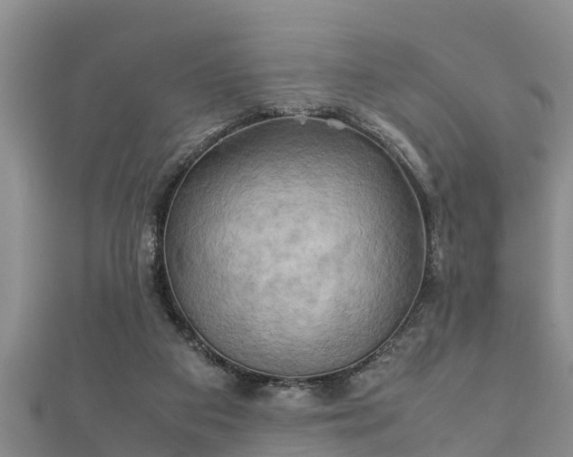 X0000112400113200908211124