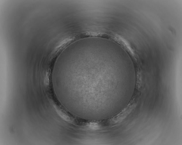 X0000112400114200908211124