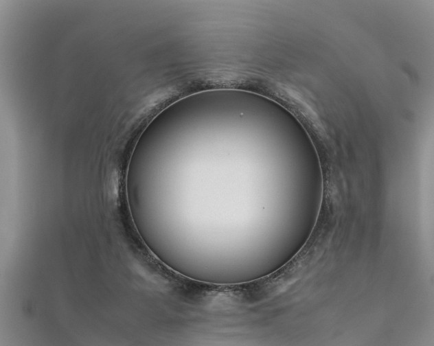 X0000112400115200908211124