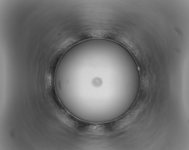 X0000112400117200908211124