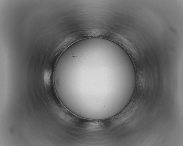 X0000112400118200908211124