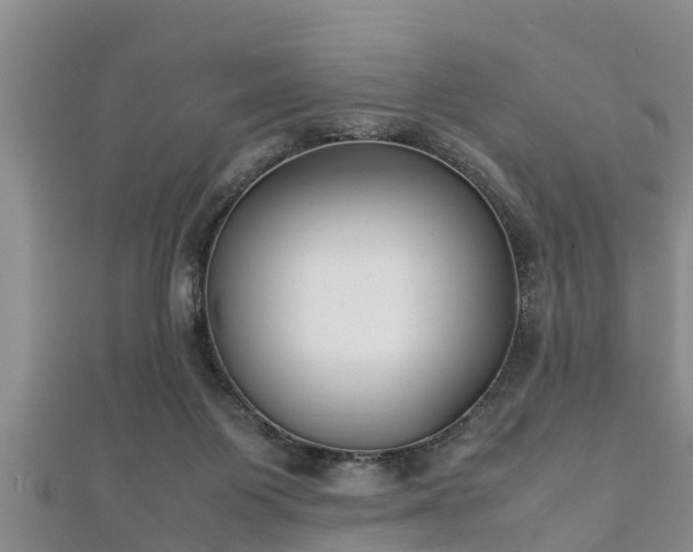 X0000112400119200908211124
