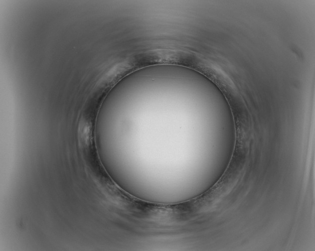 X0000112400123200908211124