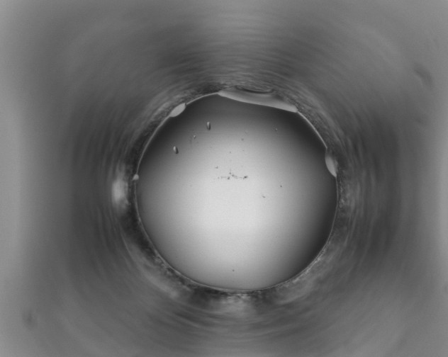 X0000112400124200908211124