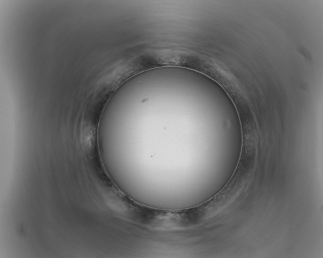 X0000112400125200908211124