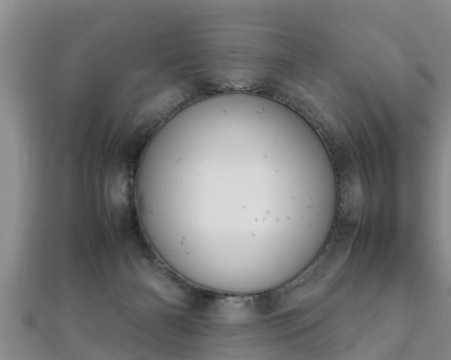 X0000112400126200908211124