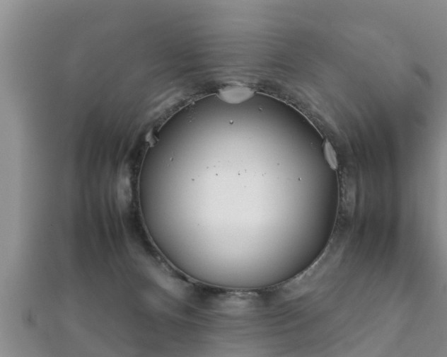 X0000112400128200908211124