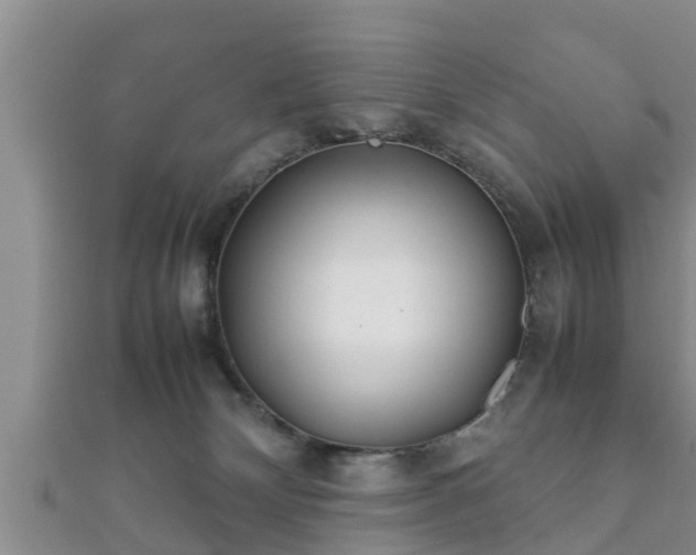 X0000112400132200908211124