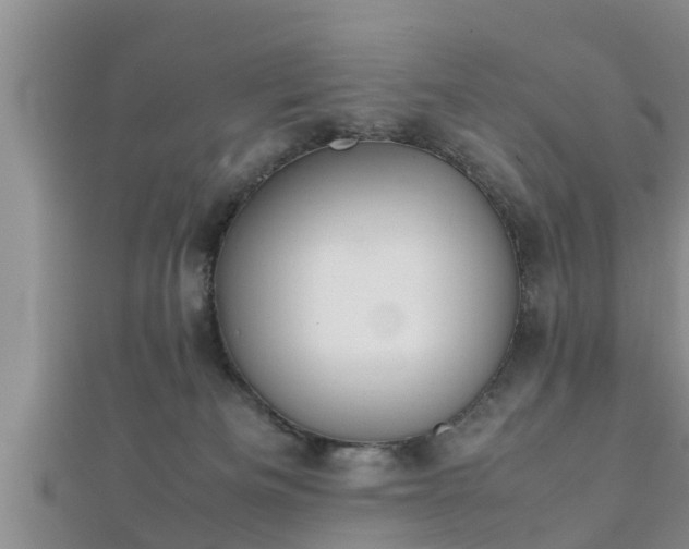 X0000112400133200908211124
