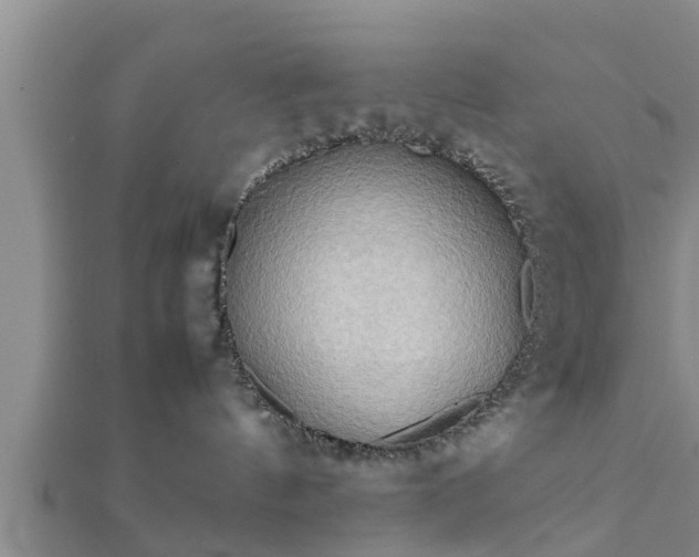 X0000112400144200908211123