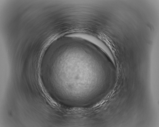 X0000112400145200908211123