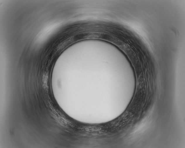 X0000112400146200908211123