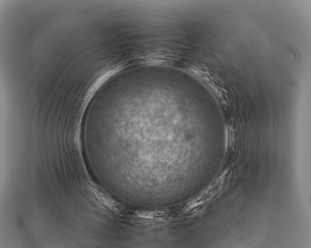 X0000112400147200908211123