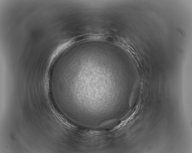 X0000112400149200908211123