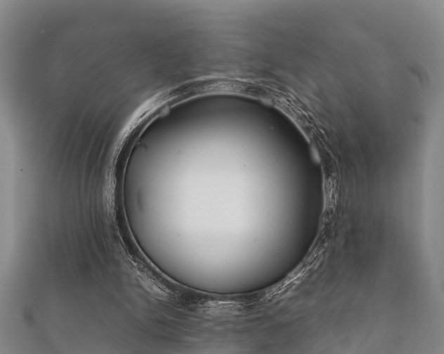X0000112400150200908211123