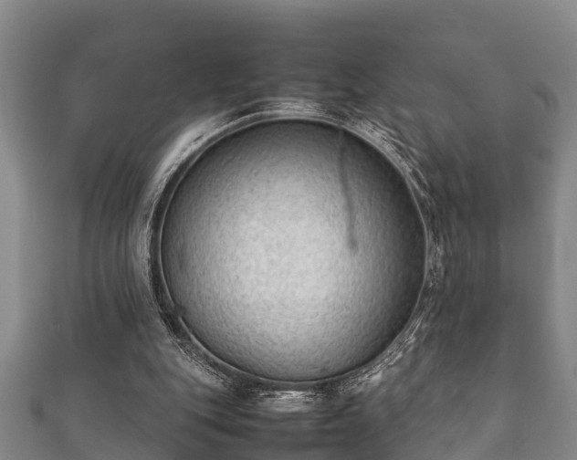 X0000112400151200908211123