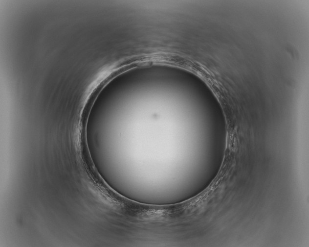 X0000112400152200908211123