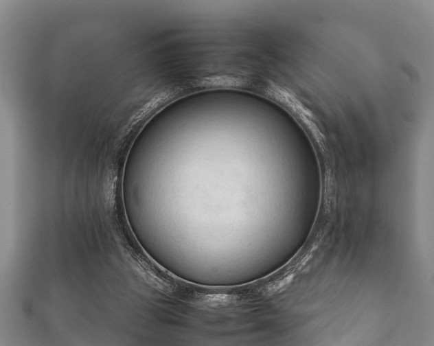 X0000112400153200908211123