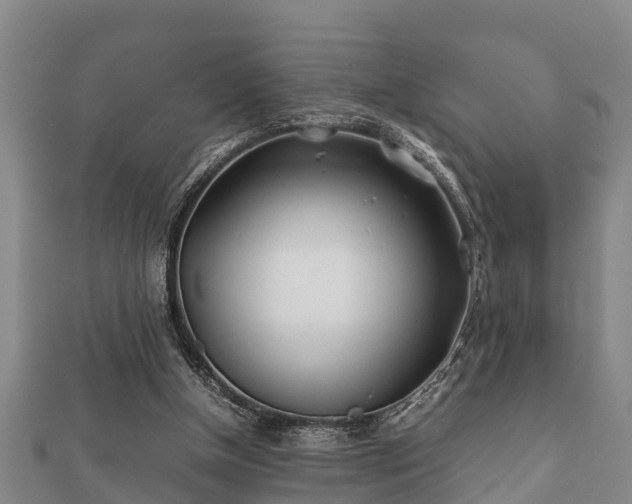 X0000112400154200908211123