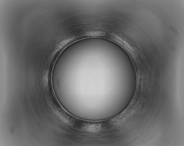 X0000112400155200908211123