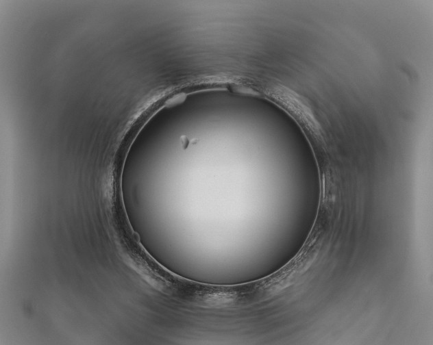 X0000112400156200908211123