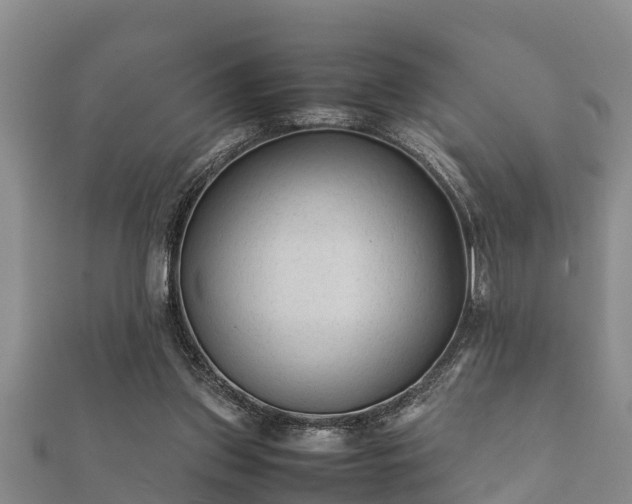 X0000112400157200908211123