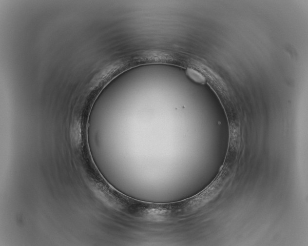 X0000112400158200908211123