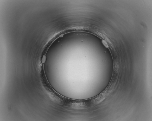 X0000112400160200908211123