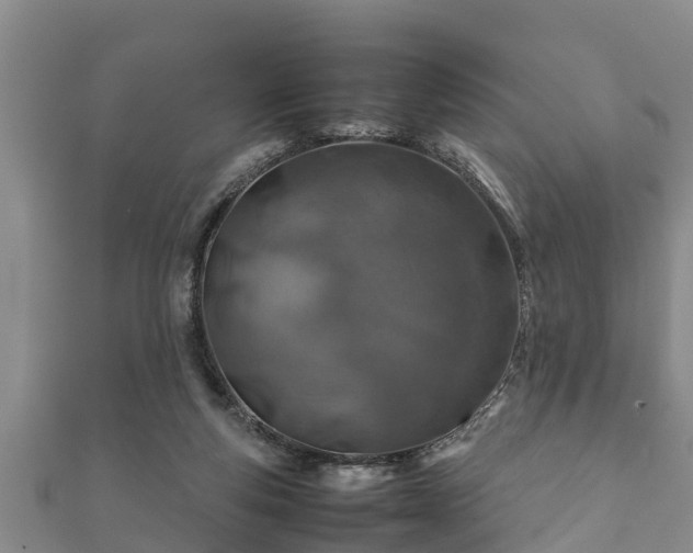 X0000112400163200908211123