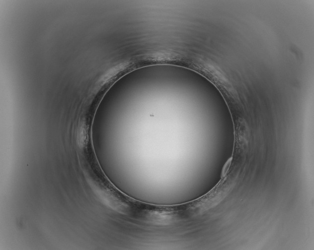 X0000112400164200908211123