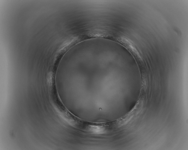 X0000112400167200908211123