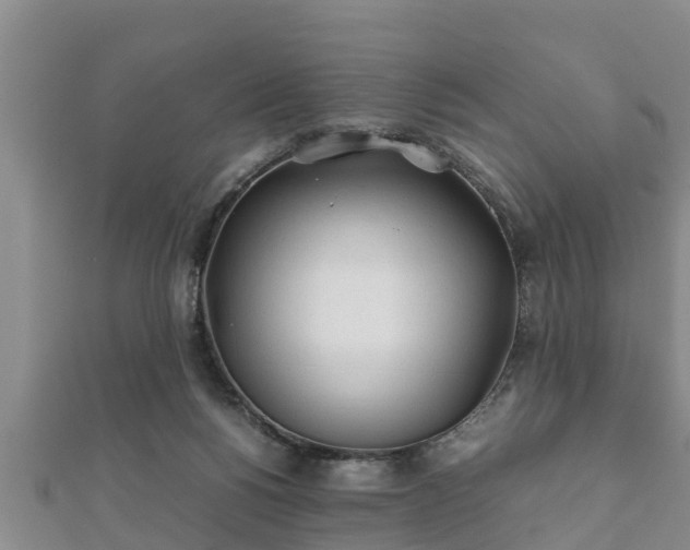 X0000112400168200908211123