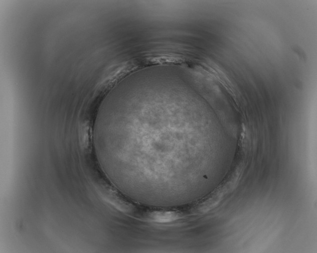 X0000112400169200908211123