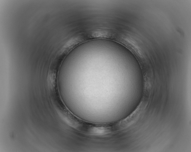 X0000112400171200908211123