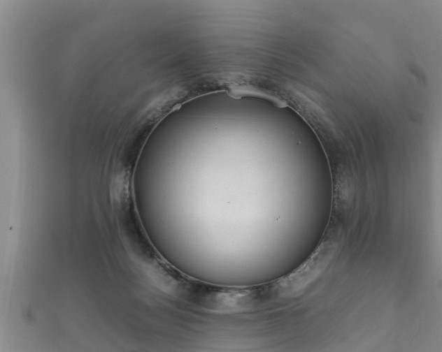 X0000112400172200908211123