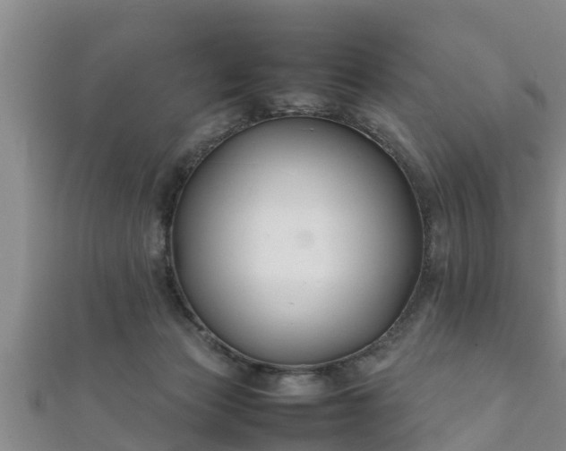 X0000112400173200908211123