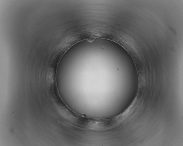 X0000112400174200908211123