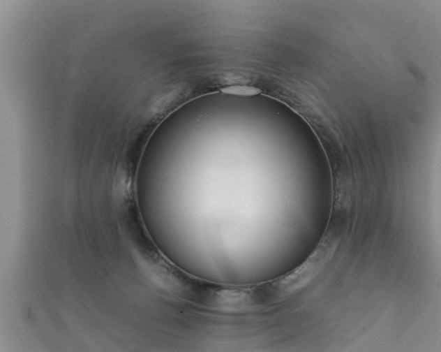 X0000112400176200908211123