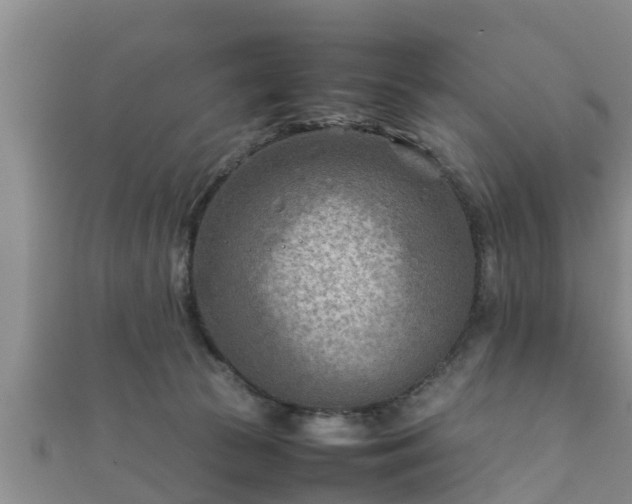 X0000112400177200908211123