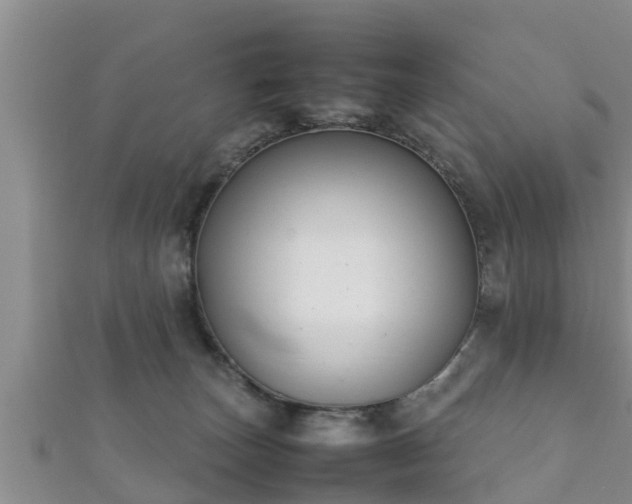 X0000112400179200908211123