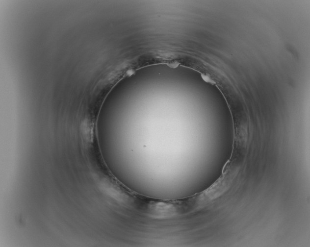 X0000112400180200908211123