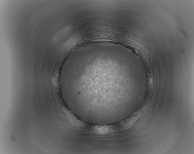X0000112400181200908211123