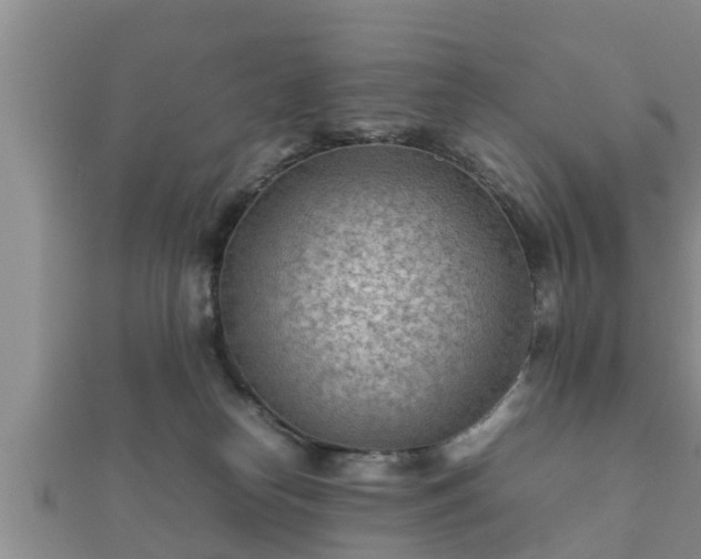 X0000112400182200908211123