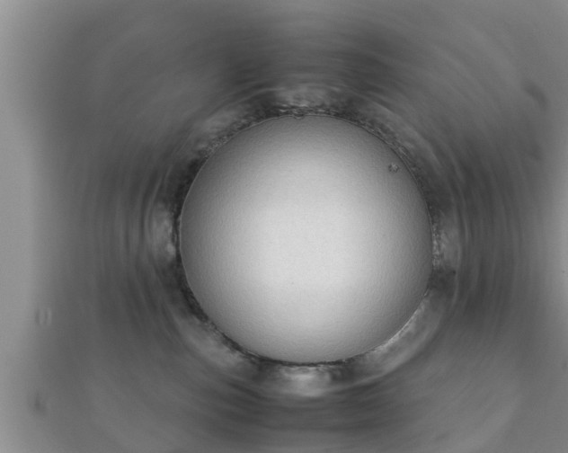 X0000112400187200908211123