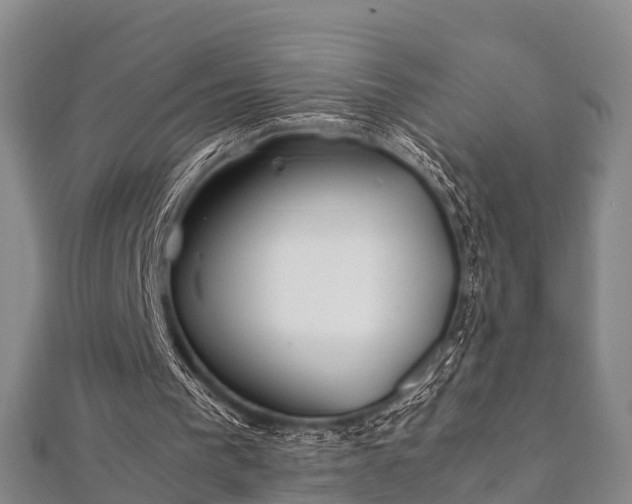X0000112400193200908211123