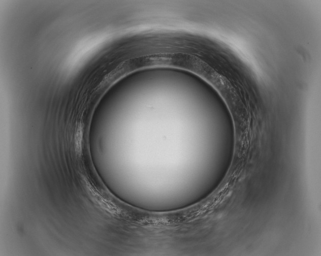 X0000112400194200908211123