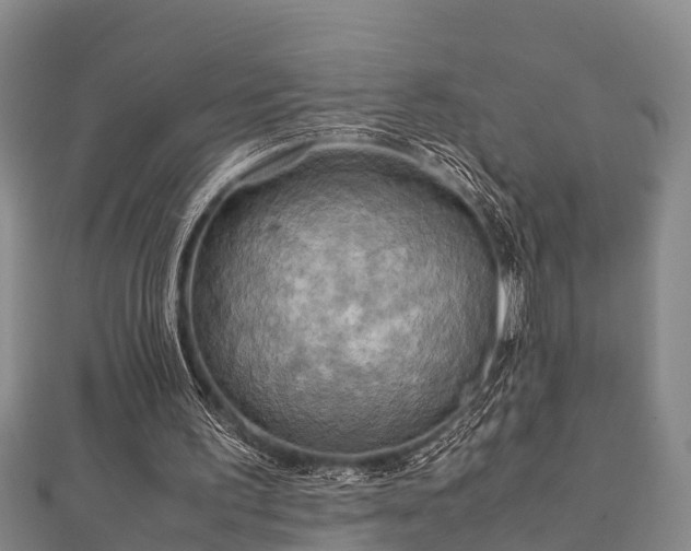 X0000112400195200908211123