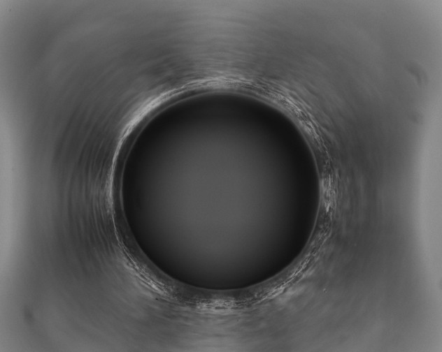 X0000112400196200908211123
